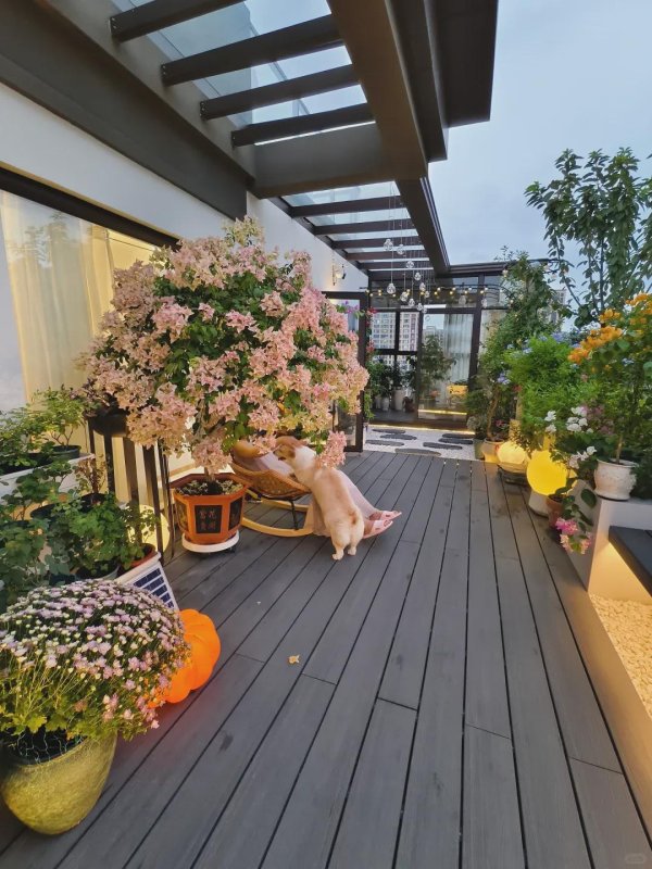 天弘优配 不听劝，我偏要买顶楼带露台，入住3年，真实感受告诉你值不值。