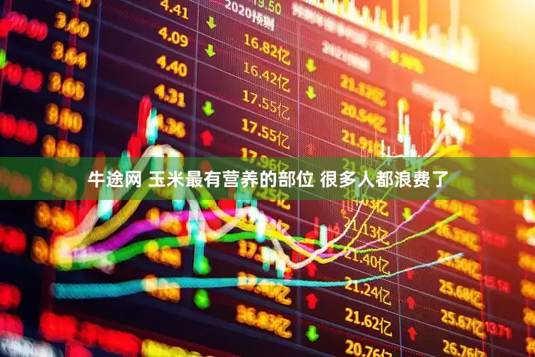 牛途网 玉米最有营养的部位 很多人都浪费了