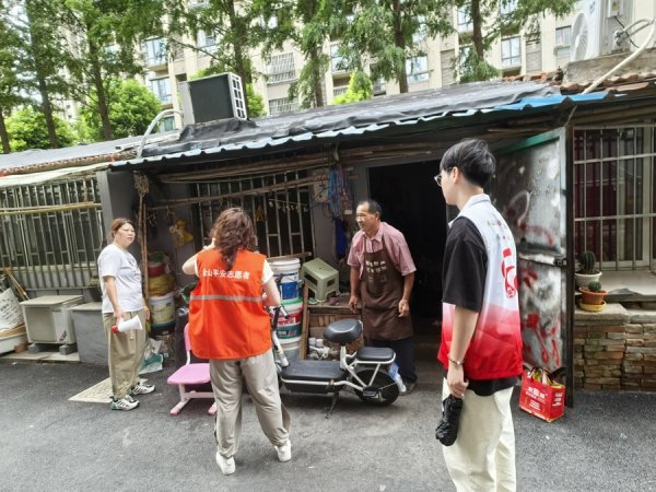 驰赢策略 应对“竹节草”，金山卫镇巡查“头顶上、脚底下”隐患，抢收果蔬保民生