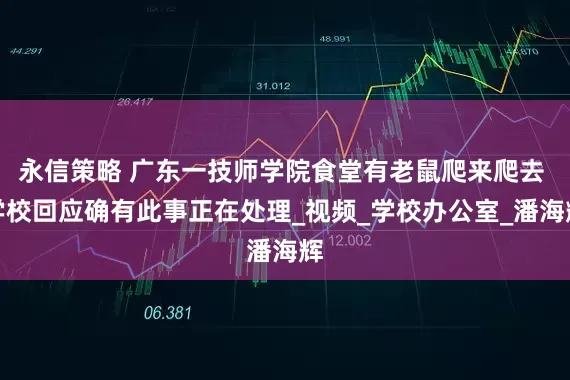 永信策略 广东一技师学院食堂有老鼠爬来爬去 学校回应确有此事正在处理_视频_学校办公室_潘海辉
