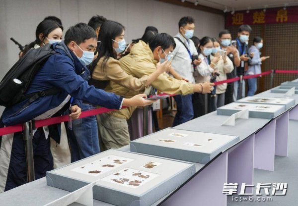 航心配资 子弹库帛书有望2026年首次公开亮相，将与“人物御龙帛画”合体展出