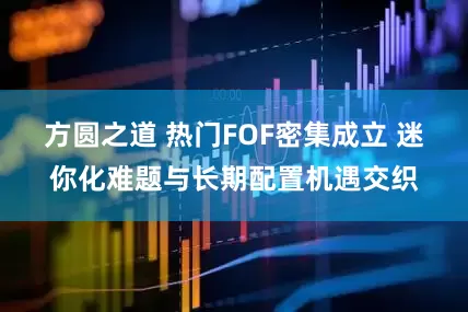 方圆之道 热门FOF密集成立 迷你化难题与长期配置机遇交织